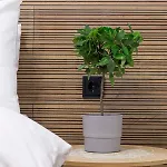 Apartamento K2 Tesalónica